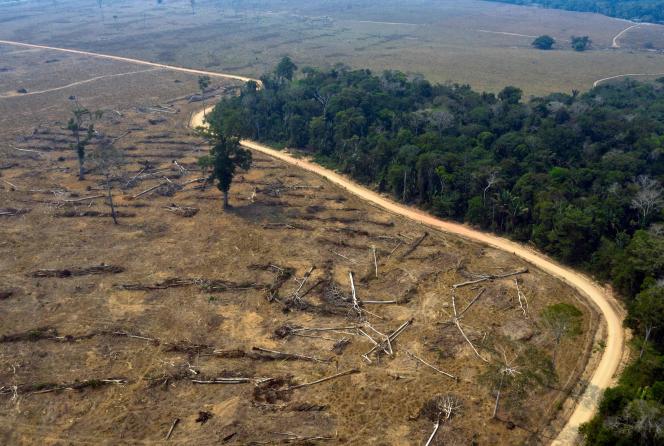 (FILES) This file picture taken on August 24, 2019 shows an aerial view of burnt areas of the Amazon rainforest, near Porto Velho, Rondonia State, Brazil.  Deforestation in the Brazilian Amazon reached 1,358 km2 in August 2020, a decrease of 21% compared to the same month of 2019, but the deforested area is already much higher than that of the whole of 2018. / AFP / Carlos FABAL