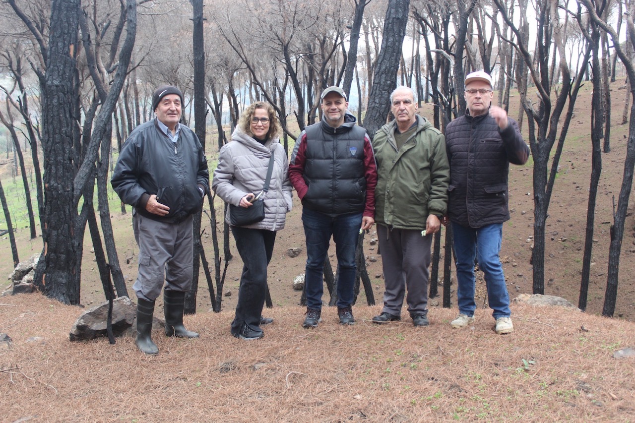 Cinq experts réunis sur le terrain parmi les arbres brûlés à Kaytoulé.